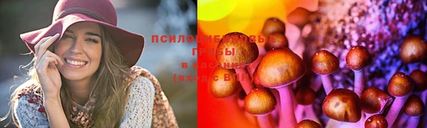 стафф Горно-Алтайск