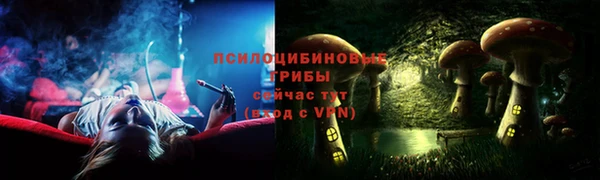 стафф Горно-Алтайск