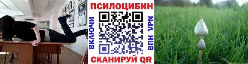 kraken ONION Сорск Псилоцибиновые грибы прущие грибы
