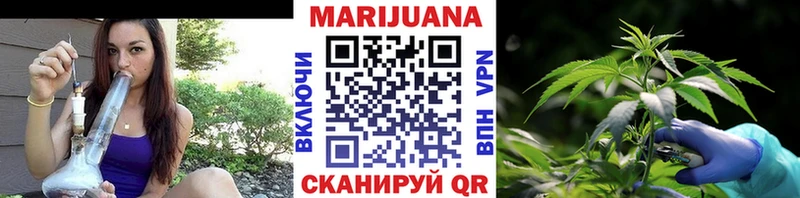 Шишки марихуана сатива  сколько стоит  Сорск 